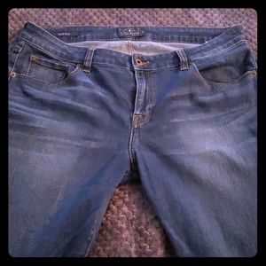 Lucky Brand Plus Size Jeans - great/LN condition